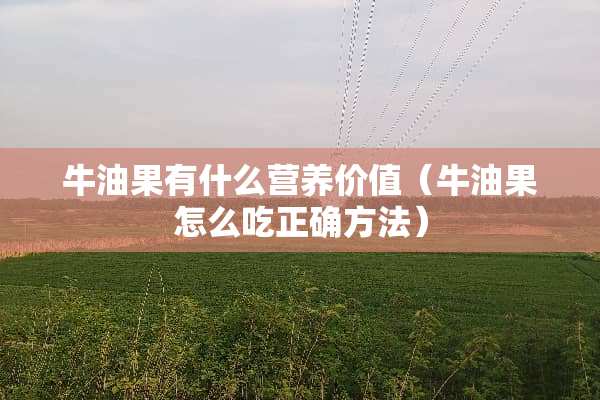 牛油果有什么营养价值（牛油果怎么吃正确方法）