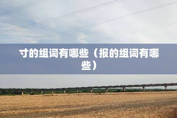 寸的组词有哪些(报的组词有哪些) 寸的组词有哪些(报的组词有哪些)