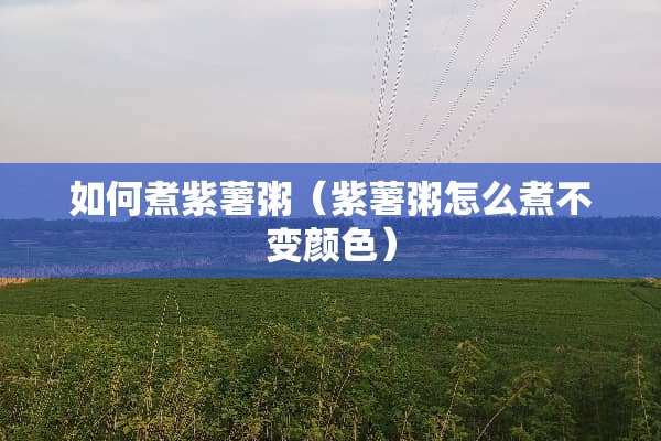 如何煮紫薯粥（紫薯粥怎么煮不变颜色）