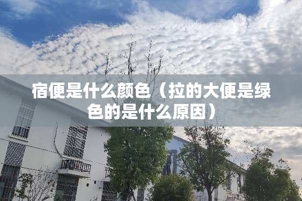 宿便是什么颜色(拉的大便是绿色的是什么原因) 宿便是什么颜色(拉的大便是绿色的是什么原因)