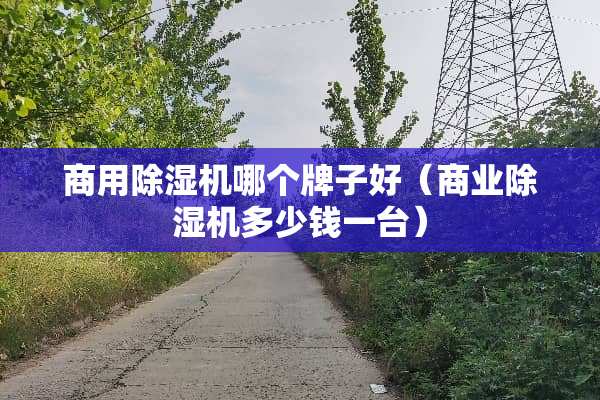 商用***哪个牌子好（商业***多少钱一台）