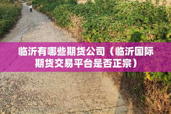 临沂有哪些期货公司（临沂国际期货交易平台是否正宗）