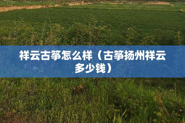 祥云古筝怎么样（古筝扬州祥云多少钱）