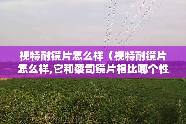 视特耐镜片怎么样(视特耐镜片怎么样,它和蔡司镜片相比哪个性价比更高?) 视特耐镜片怎么样(视特耐镜片怎么样,它和蔡司镜片相比哪个性价比更高?)