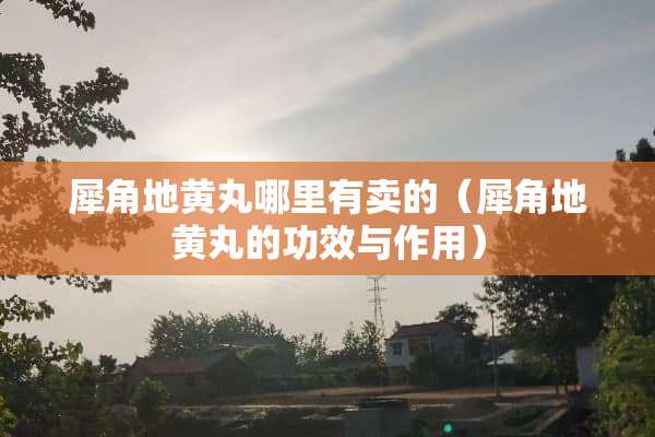 犀角地黄丸哪里有卖的（犀角地黄丸的功效与作用）
