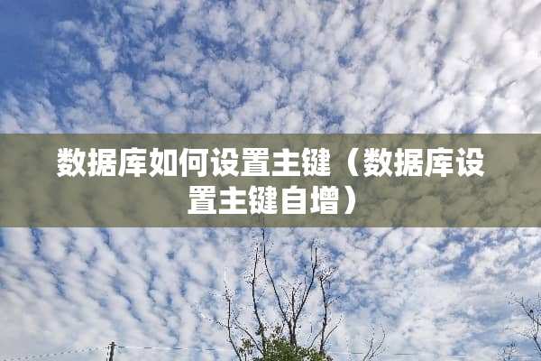 数据库如何设置主键(数据库设置主键自增) 数据库如何设置主键(数据库设置主键自增)