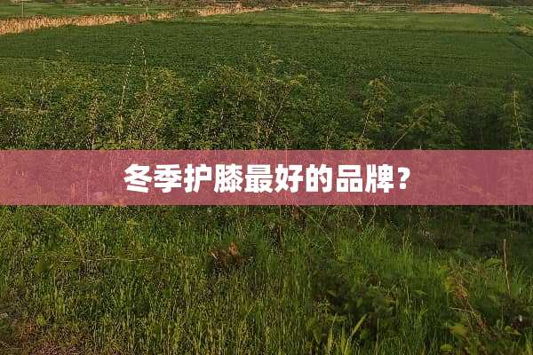 冬季护膝最好的品牌？
