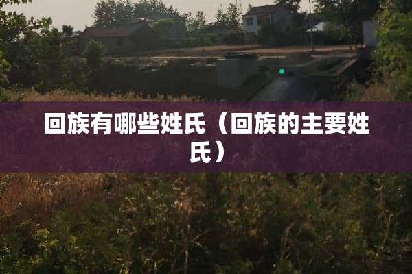 回族有哪些姓氏(回族的主要姓氏) 回族有哪些姓氏(回族的主要姓氏)