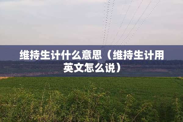 维持生计什么意思（维持生计用英文怎么说）