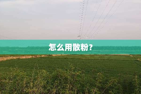 怎么用散粉？