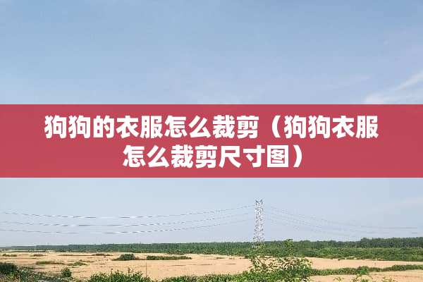 狗狗的衣服怎么裁剪（狗狗衣服怎么裁剪尺寸图）