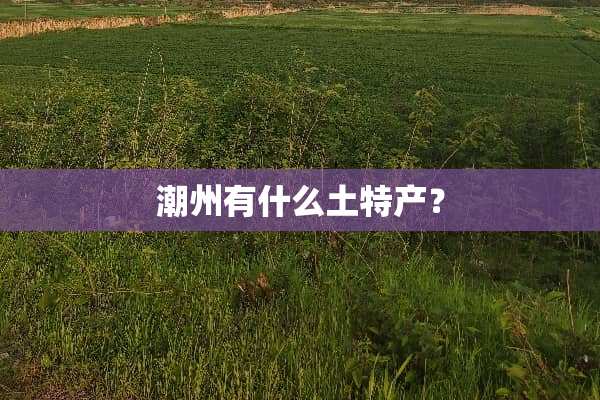潮州有什么土特产？