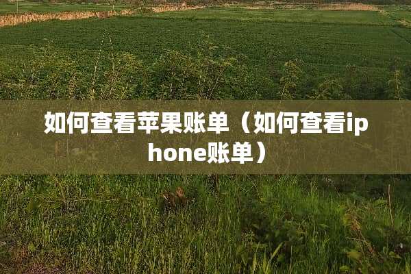 如何查看苹果账单（如何查看iphone账单）