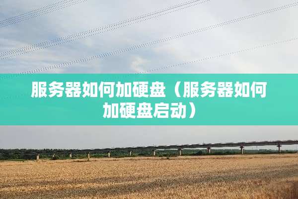 服务器如何加硬盘（服务器如何加硬盘启动）