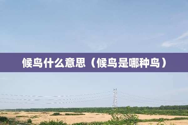 候鸟什么意思（候鸟是哪种鸟）