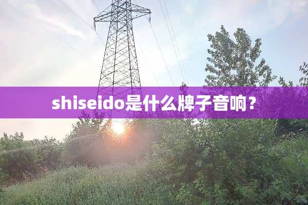 shiseido是什么牌子音响？