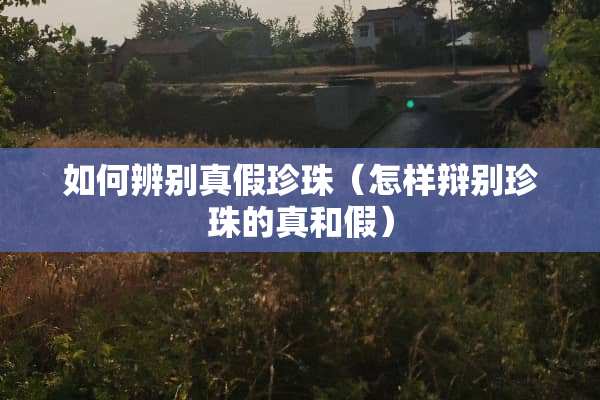 如何辨别真假珍珠(怎样辩别珍珠的真和假) 如何辨别真假珍珠(怎样辩别珍珠的真和假)