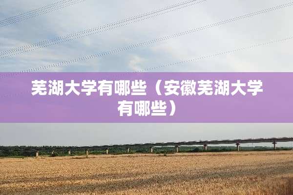芜湖大学有哪些（安徽芜湖大学有哪些）