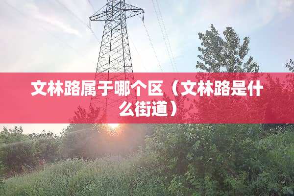 文林路属于哪个区（文林路是什么街道）