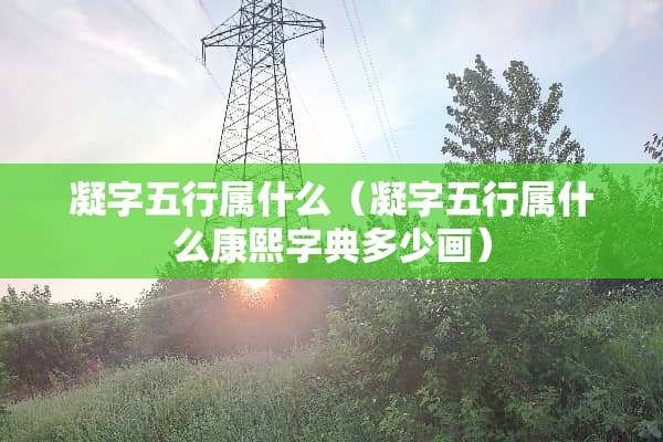 凝字五行属什么（凝字五行属什么康熙字典多少画）