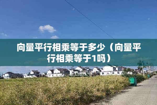 向量平行相乘等于多少（向量平行相乘等于1吗）
