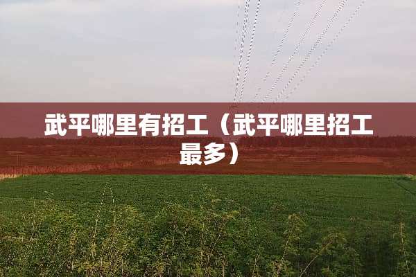 武平哪里有招工（武平哪里招工最多）