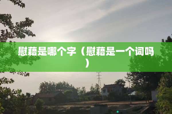慰藉是哪个字（慰藉是一个词吗）