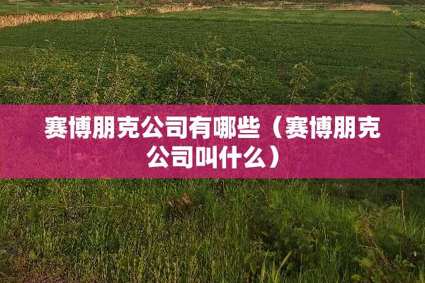 赛博朋克公司有哪些（赛博朋克公司叫什么）