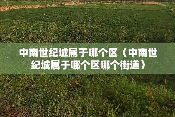 中南世纪城属于哪个区（中南世纪城属于哪个区哪个街道）