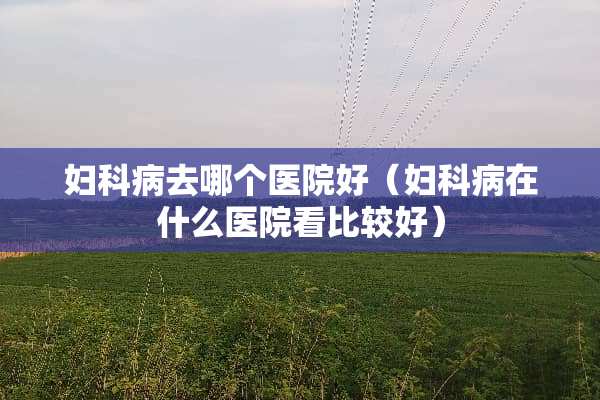 妇科病去哪个医院好（妇科病在什么医院看比较好）