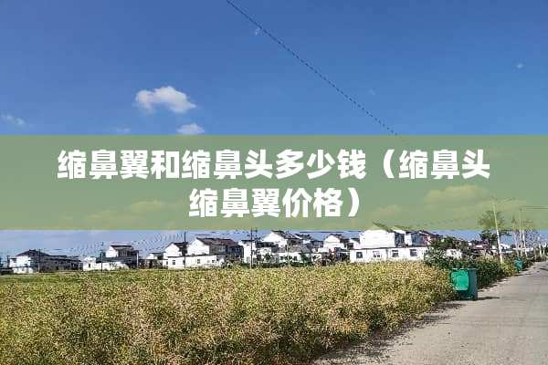 缩鼻翼和缩鼻头多少钱（缩鼻头缩鼻翼价格）