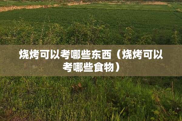 烧烤可以考哪些东西（烧烤可以考哪些食物）