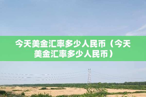 今天美金汇率多少人民币（今天美金汇率多少人民币）