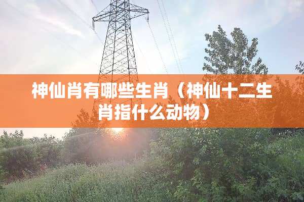 神仙肖有哪些生肖（神仙十二生肖指什么动物）