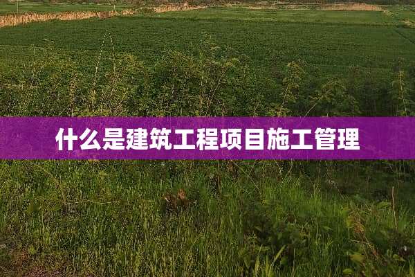 什么是建筑工程项目施工管理