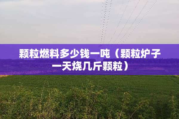 颗粒燃料多少钱一吨（颗粒炉子一天烧几斤颗粒）