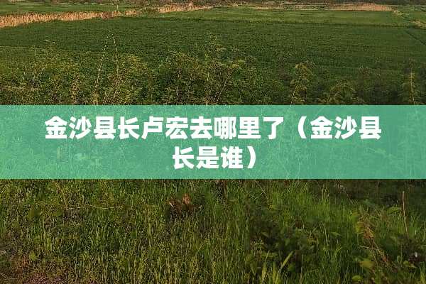 金沙县长卢宏去哪里了（金沙县长是谁）