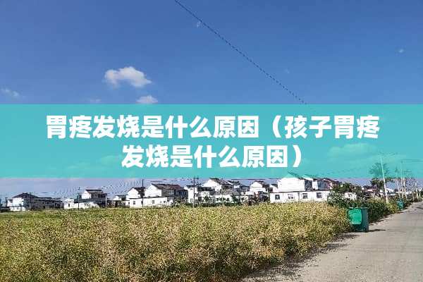 胃疼发烧是什么原因(孩子胃疼发烧是什么原因) 胃疼发烧是什么原因(孩子胃疼发烧是什么原因)