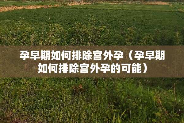 孕早期如何排除宫外孕（孕早期如何排除宫外孕的可能）