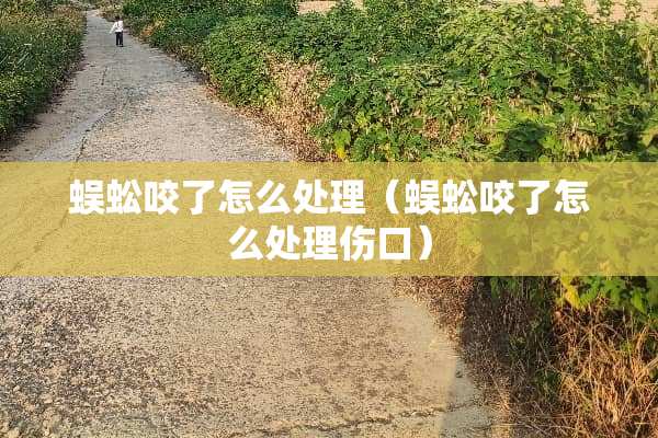 蜈蚣咬了怎么处理（蜈蚣咬了怎么处理伤口）