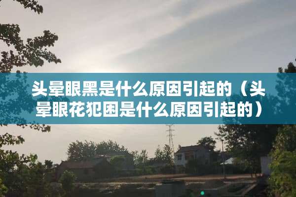 头晕眼黑是什么原因引起的（头晕眼花犯困是什么原因引起的）