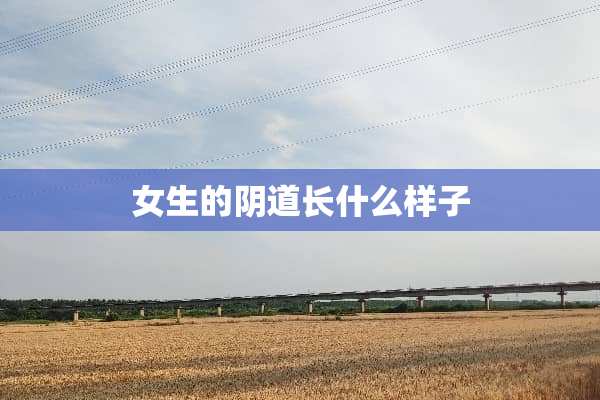 女生的*道长什么样子 女生的*道长什么样子