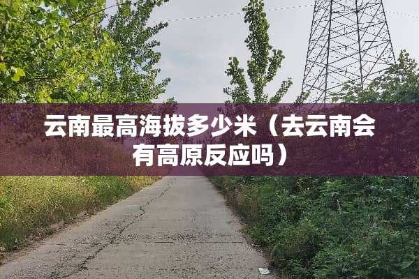 云南最高海拔多少米（去云南会有高原反应吗）