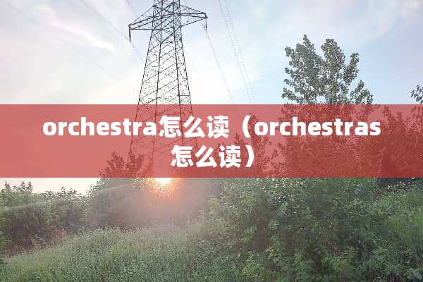 orchestra怎么读（orchestras怎么读）