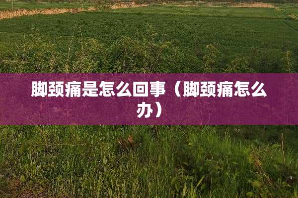 脚颈痛是怎么回事(脚颈痛怎么办) 脚颈痛是怎么回事(脚颈痛怎么办)
