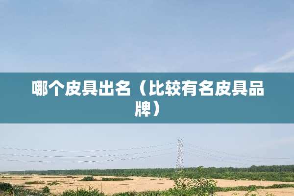 哪个皮具出名(比较有名皮具品牌) 哪个皮具出名(比较有名皮具品牌)