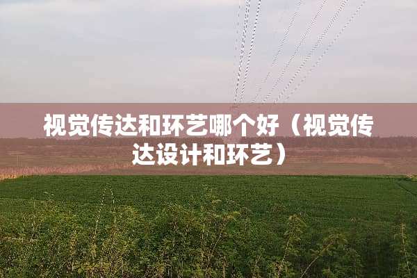 视觉传达和环艺哪个好（视觉传达设计和环艺）