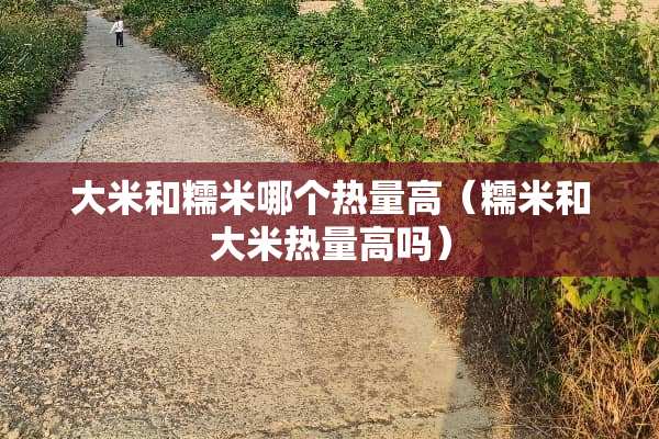 大米和糯米哪个热量高（糯米和大米热量高吗）