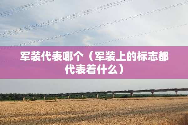 军装代表哪个（军装上的标志都代表着什么）