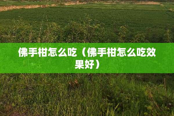 佛手柑怎么吃（佛手柑怎么吃效果好）